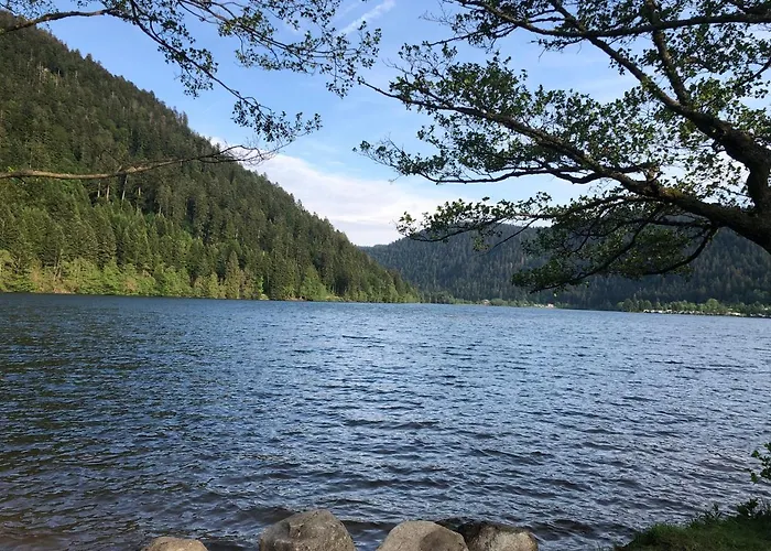 O Fil De Lo - Wifi, Bbq, Parking Chalet