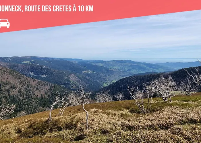 Chalet O Fil De Lo - Wifi, Bbq, Parking